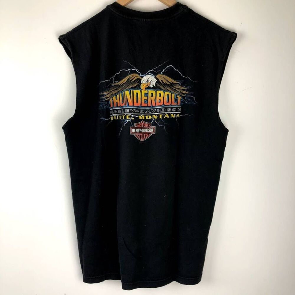 HARLEY DAVIDSON motor cycle tank graphic